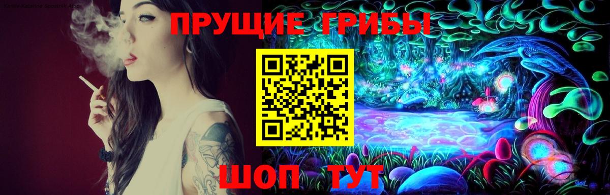 Псилоцибиновые грибы Psilocybine cubensis  Вход с VPN  Курчатов 